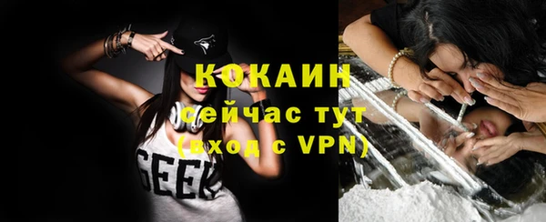 твердый Михайловка