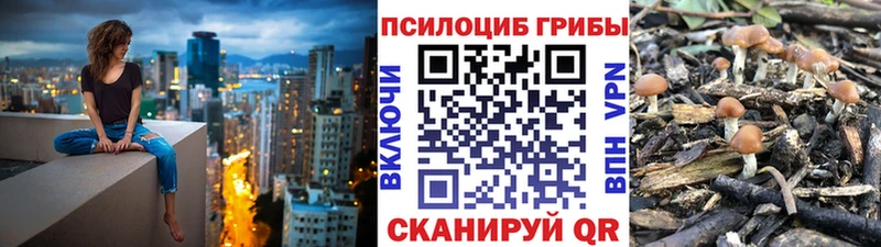 Псилоцибиновые грибы прущие грибы  даркнет как зайти  Дербент 
