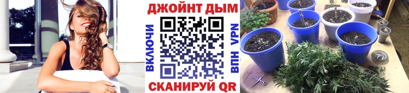 Бошки Шишки марихуана  гидра ссылка  Дербент 